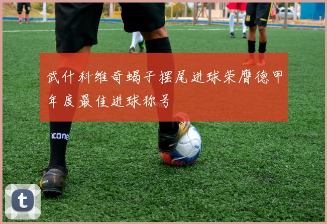 武什科维奇蝎子摆尾进球荣膺德甲年度最佳进球称号